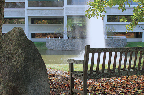 Beautiful Surroundings